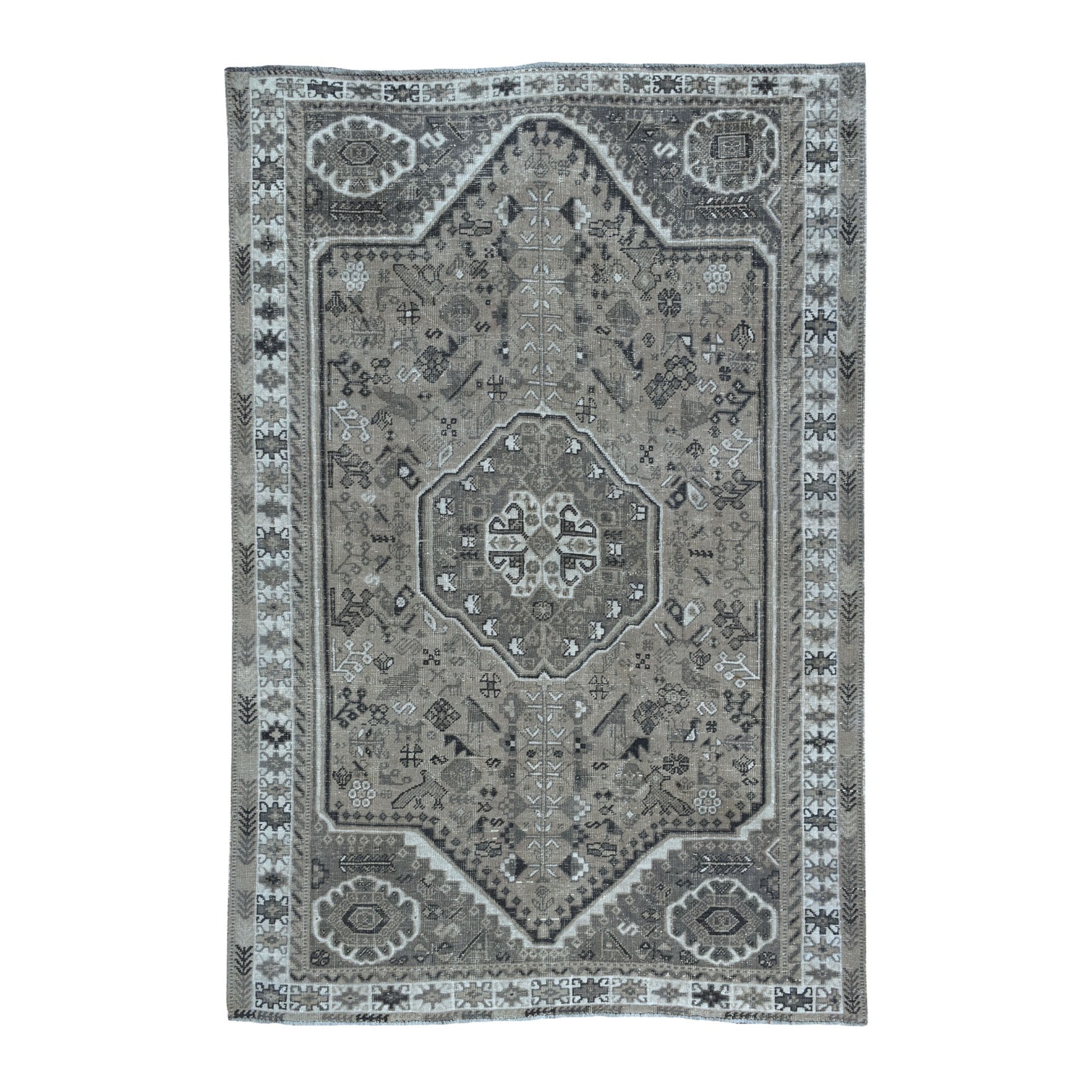 Transitional Wool Hand-Knotted Area Rug 6'4